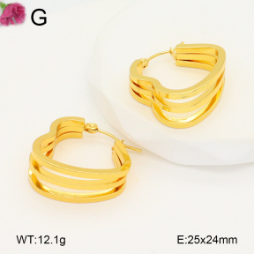 F2E202083aaho-J196  Fashion Earrings