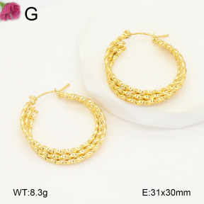 F2E202087aaho-J196  Fashion Earrings