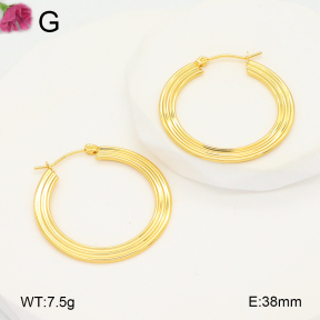 F2E202088aahh-J196  Fashion Earrings