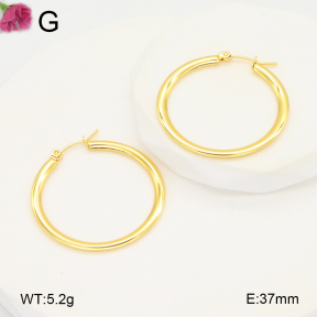 F2E202089aahh-J196  Fashion Earrings