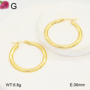 F2E202090aahh-J196  Fashion Earrings