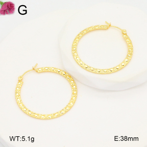 F2E202091aahh-J196  Fashion Earrings