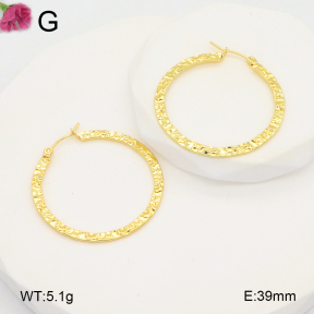 F2E202092aahh-J196  Fashion Earrings
