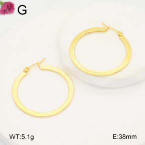 F2E202093aahh-J196  Fashion Earrings