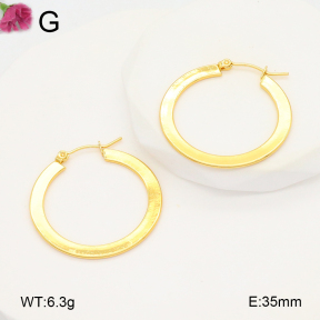 F2E202095aahh-J196  Fashion Earrings
