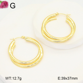F2E202098aaho-J196  Fashion Earrings