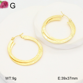 F2E202100aaho-J196  Fashion Earrings