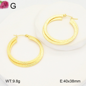 F2E202101aaho-J196  Fashion Earrings