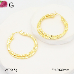 F2E202102aaho-J196  Fashion Earrings