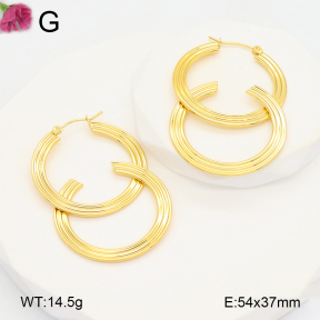 F2E202103aahp-J196  Fashion Earrings