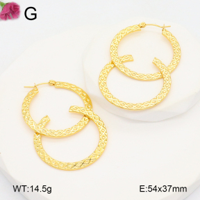 F2E202104aahp-J196  Fashion Earrings