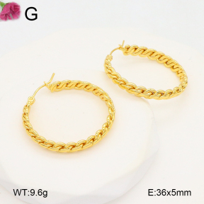 F2E202105aaij-J196  Fashion Earrings
