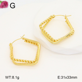 F2E202106aaho-J196  Fashion Earrings