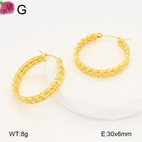 F2E202107aaho-J196  Fashion Earrings