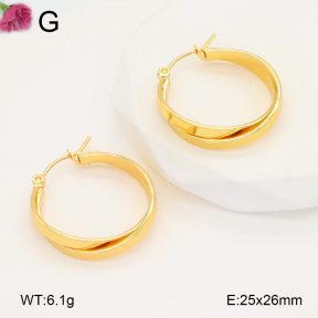 F2E202108aaho-J196  Fashion Earrings