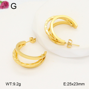 F2E202113aaho-J196  Fashion Earrings