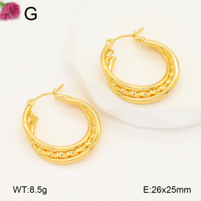 F2E202117aaho-J196  Fashion Earrings