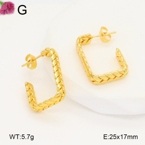 F2E202119aaho-J196  Fashion Earrings