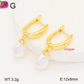F2E301040ablb-J131  Fashion Copper Earrings