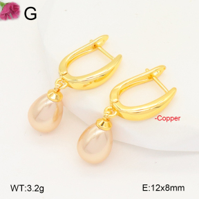 F2E301041ablb-J131  Fashion Copper Earrings