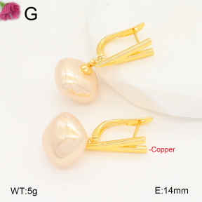 F2E301042vbmb-J131  Fashion Copper Earrings