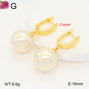 F2E301043vbmb-J131  Fashion Copper Earrings