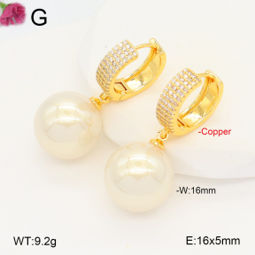 F2E301047bbov-J131  Fashion Copper Earrings