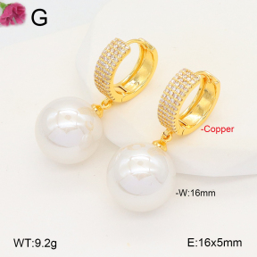 F2E301048bbov-J131  Fashion Copper Earrings