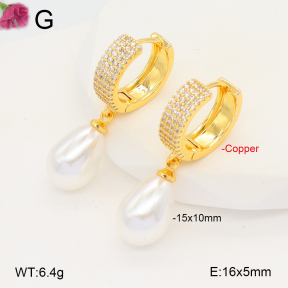 F2E301050vbnl-J131  Fashion Copper Earrings