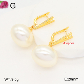 F2E301051vbmb-J131  Fashion Copper Earrings