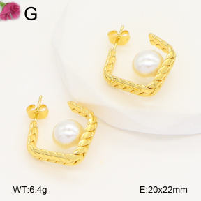 F2E301059vaia-J196  Fashion Earrings