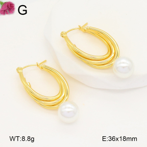 F2E301060aaih-J196  Fashion Earrings