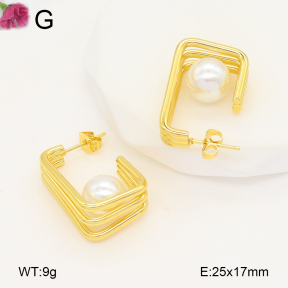 F2E301063aaih-J196  Fashion Earrings