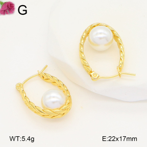 F2E301064vaia-J196  Fashion Earrings
