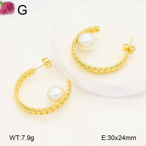 F2E301066vaia-J196  Fashion Earrings