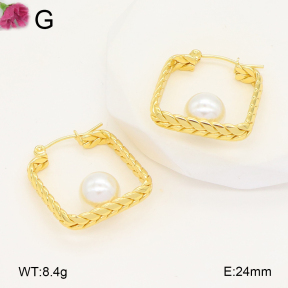 F2E301067vaia-J196  Fashion Earrings