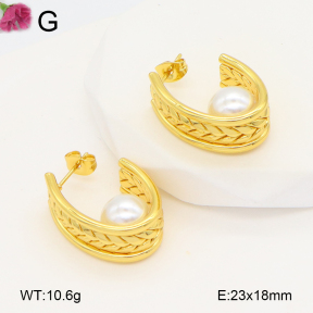 F2E301068aaij-J196  Fashion Earrings