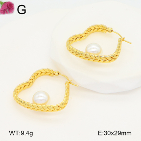 F2E301069vaia-J196  Fashion Earrings