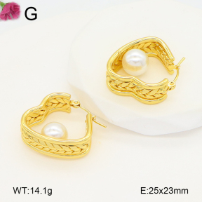 F2E301070aaij-J196  Fashion Earrings