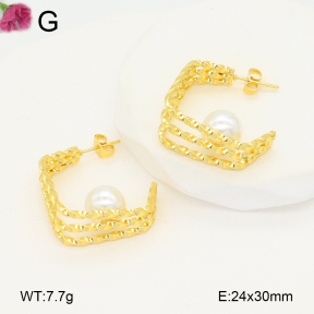F2E301071aaih-J196  Fashion Earrings