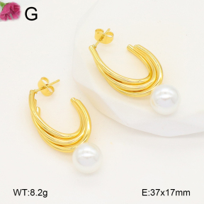 F2E301072aaih-J196  Fashion Earrings