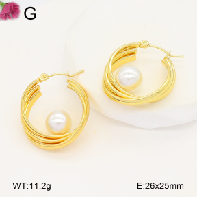 F2E301073aaih-J196  Fashion Earrings