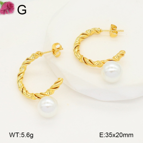 F2E301074aaih-J196  Fashion Earrings