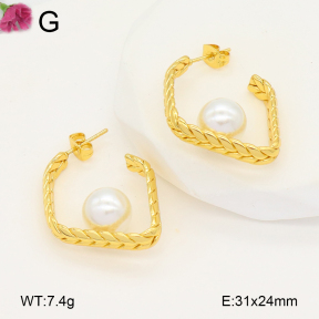 F2E301075vaia-J196  Fashion Earrings