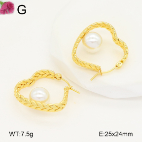F2E301077vaia-J196  Fashion Earrings