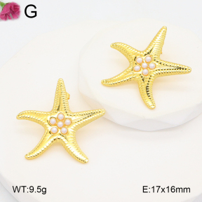 F2E301080vail-J197  Fashion Earrings