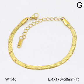 2B2005159aajl-452  Stainless Steel Bracelet