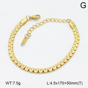 2B2005160aajl-452  Stainless Steel Bracelet