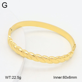 2BA202393ahjb-452  Stainless Steel Bangle