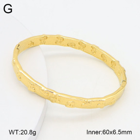 2BA202395ahjb-452  Stainless Steel Bangle